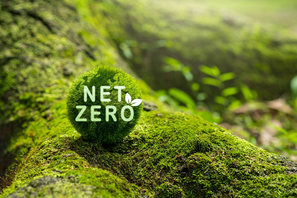 DNV and WMMF publish Net-Zero Guide