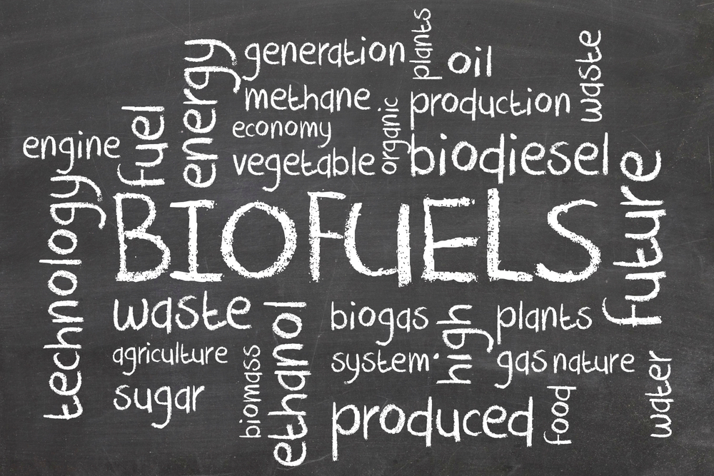 ‘Biofuels globally emit more CO2 than the fossil fuels they replace,’ claims new T&E report