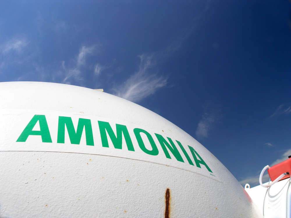 ‘South Africa-Europe shipping route could run on green ammonia by 2029,’ finds new study