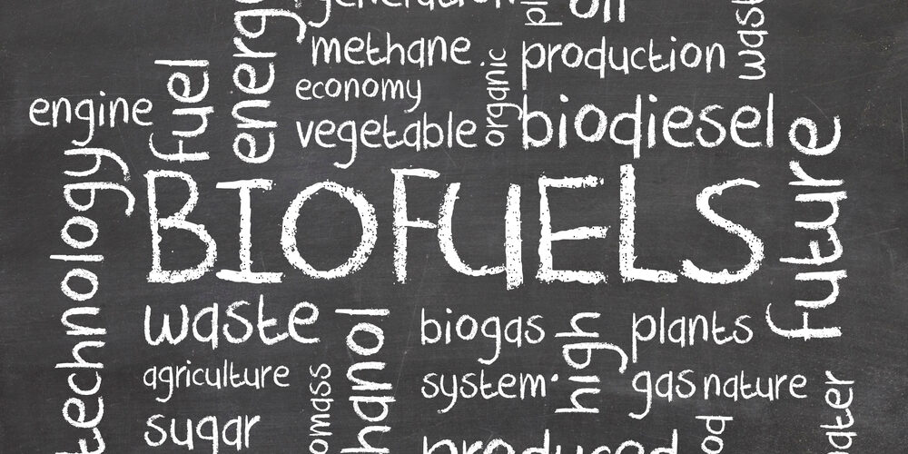 ICCT assesses shipping’s potential demand for vegetable oils under the IMO’s NZF
