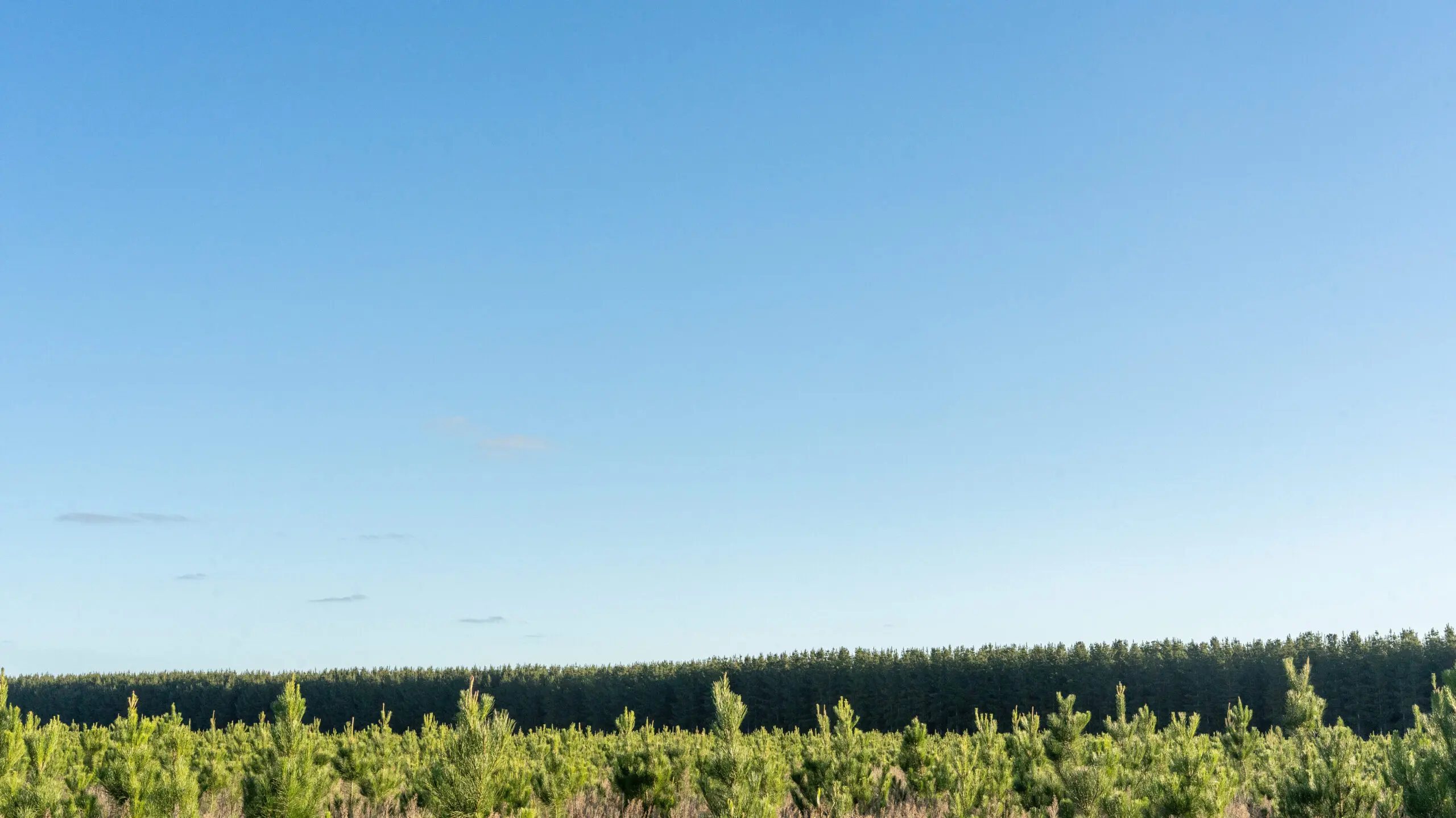 OneFortyOne and HAMR Energy teaming up on renewable methanol production in Australia, New Zealand
