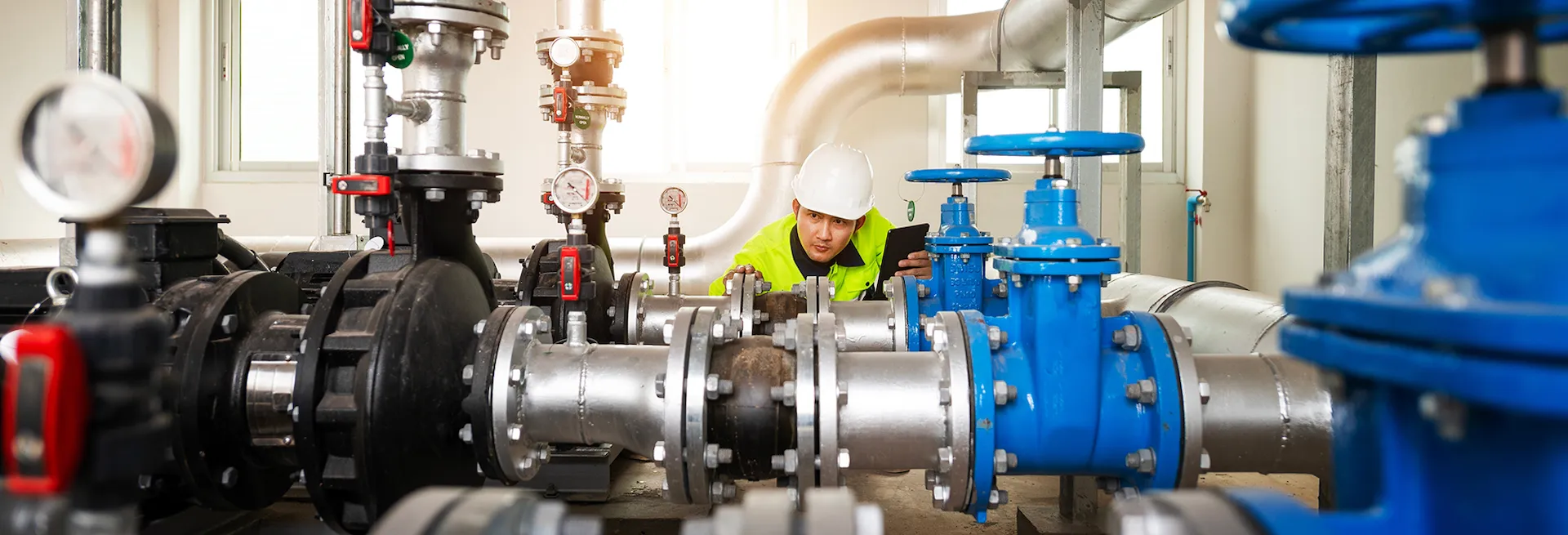 DNV: Green fuels and feedstocks will be responsible for over 25% of emissions reductions in Asia Pacific by 2050