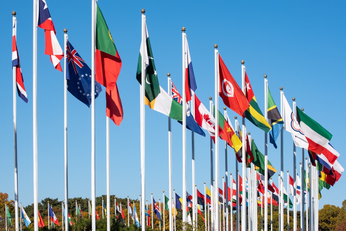 Environmental NGOs call for national action amid IMO Net-Zero Framework delay