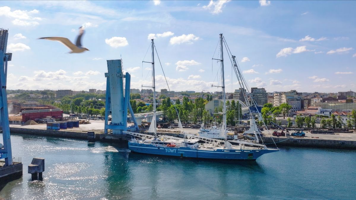 TOWT publishes first annual review