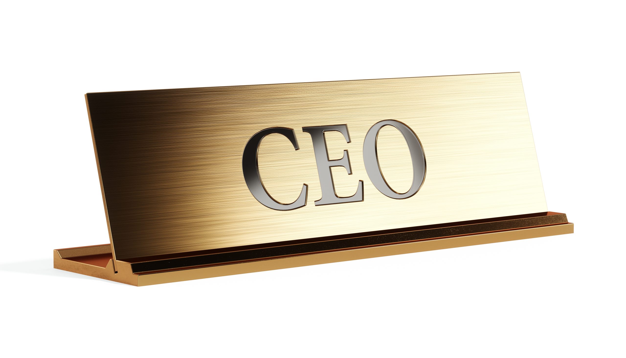New CEO for Viking