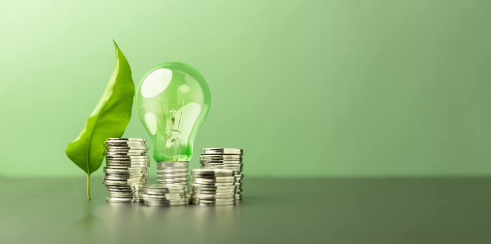 NYK to issue more transition bonds to fund decarbonisation projects