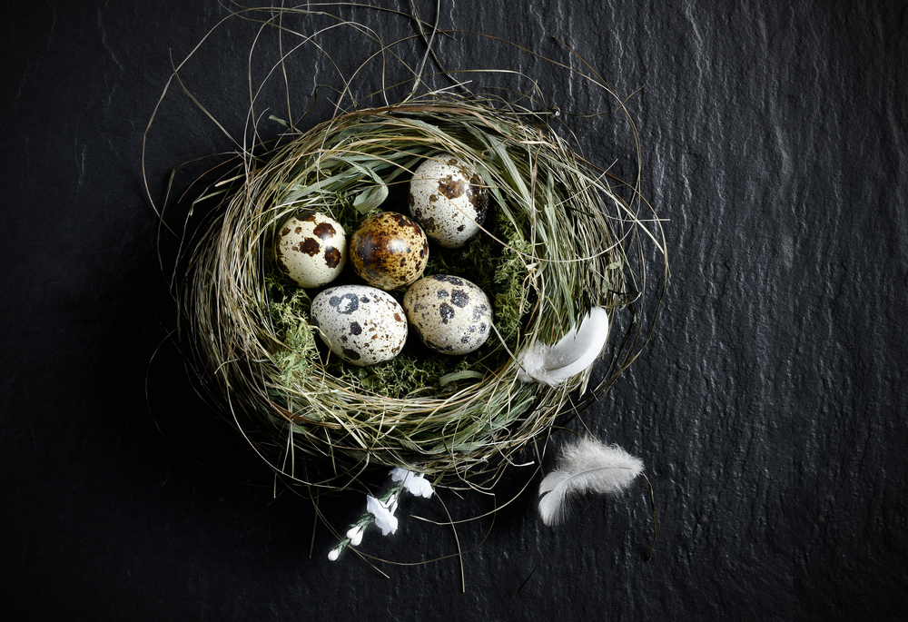 The EU ETS review – a bold proposal or a curate’s egg?