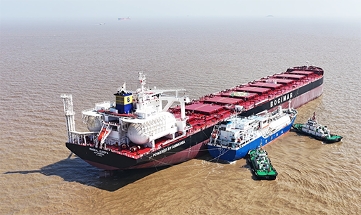 FKAB-designed gas carrier bunkers ammonia-fuelled bulker, Mineral Europa
