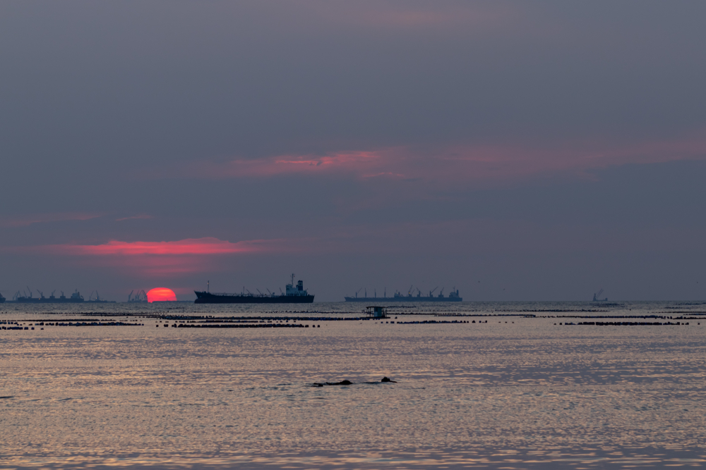 Cargill puts port call optimisation solutions to the test, demonstrates emissions savings